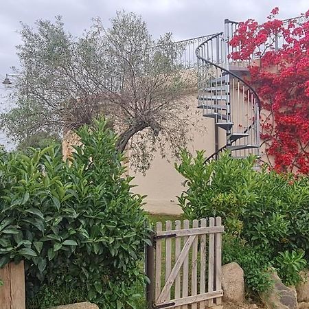 Suite Deluxe Olbia Which Wonderful View מראה חיצוני תמונה
