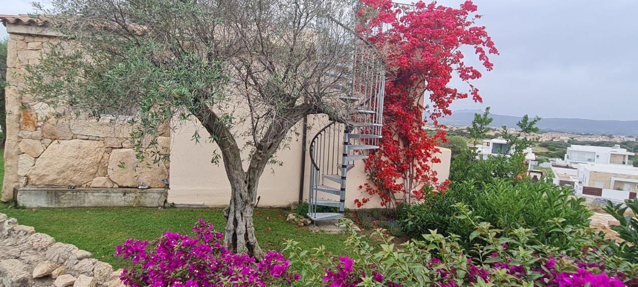 Suite Deluxe Olbia Which Wonderful View מראה חיצוני תמונה