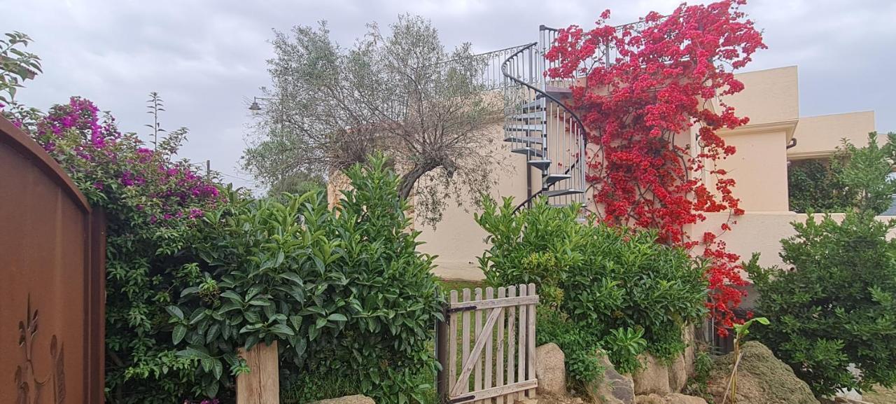 Suite Deluxe Olbia Which Wonderful View מראה חיצוני תמונה